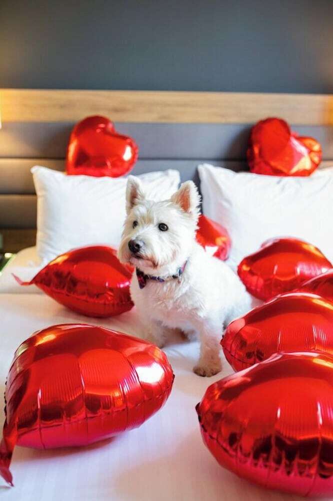 Hotel Moxy Glasgow Sec