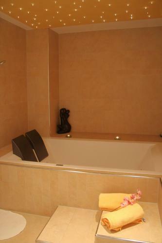 Hotel Alpina