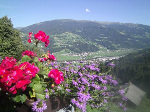 Hostal G�stehaus Rieser