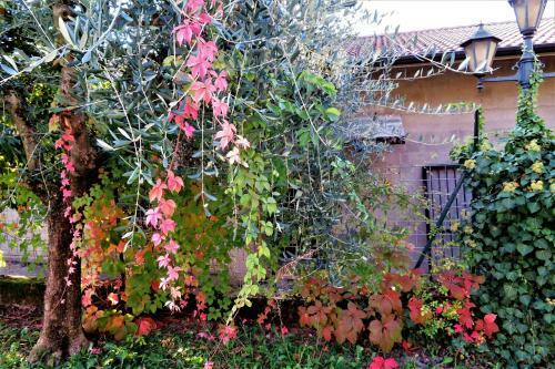 Bed & Breakfast Locanda Alla Posta