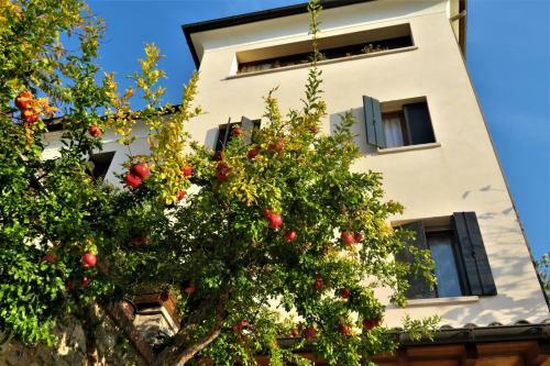 Bed & Breakfast Locanda Alla Posta