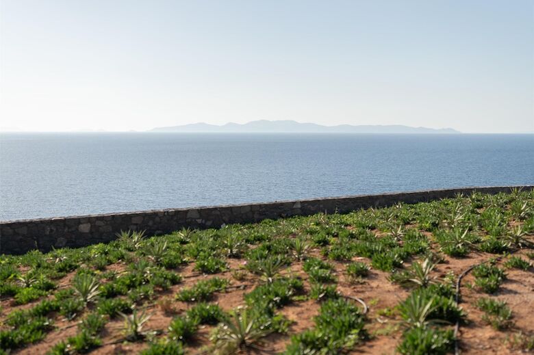 Hotel Santo Mine Oia Suites