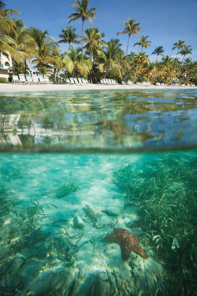 Club Wyndham Elysian Beach Resort