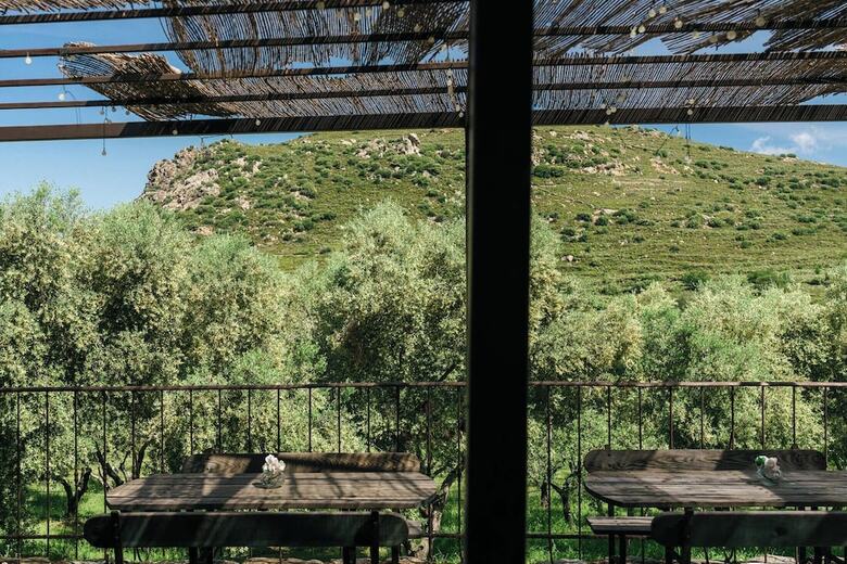 Domaine Acciola