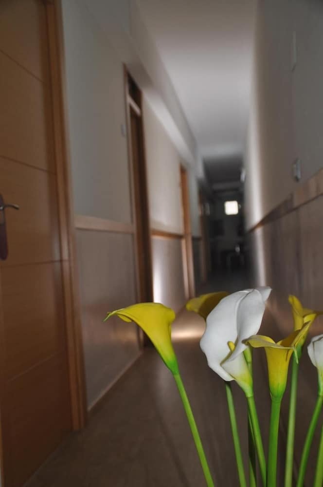 Pension Hostal Patria