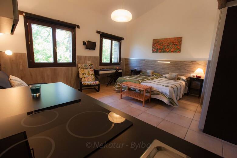 Aparthotel Caserio Gorosarri