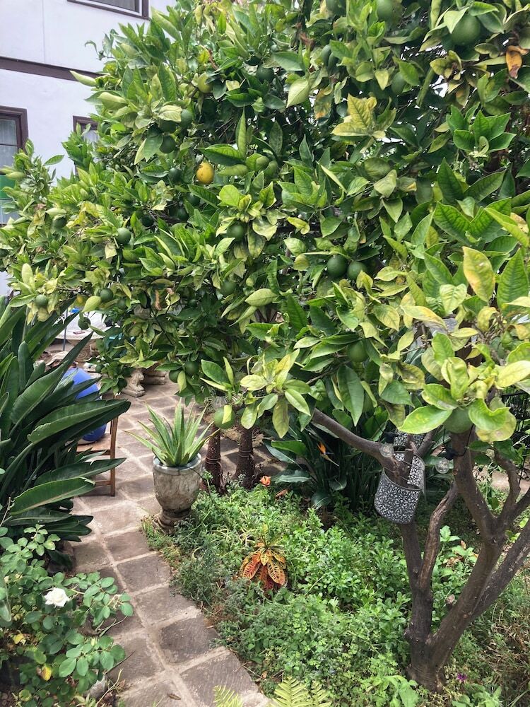 Aparthotel Gato Azul Coliving