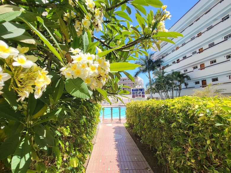 Aparthotel Las Camelias