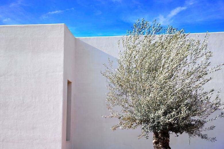 Hotel Boutique Mi Almazara