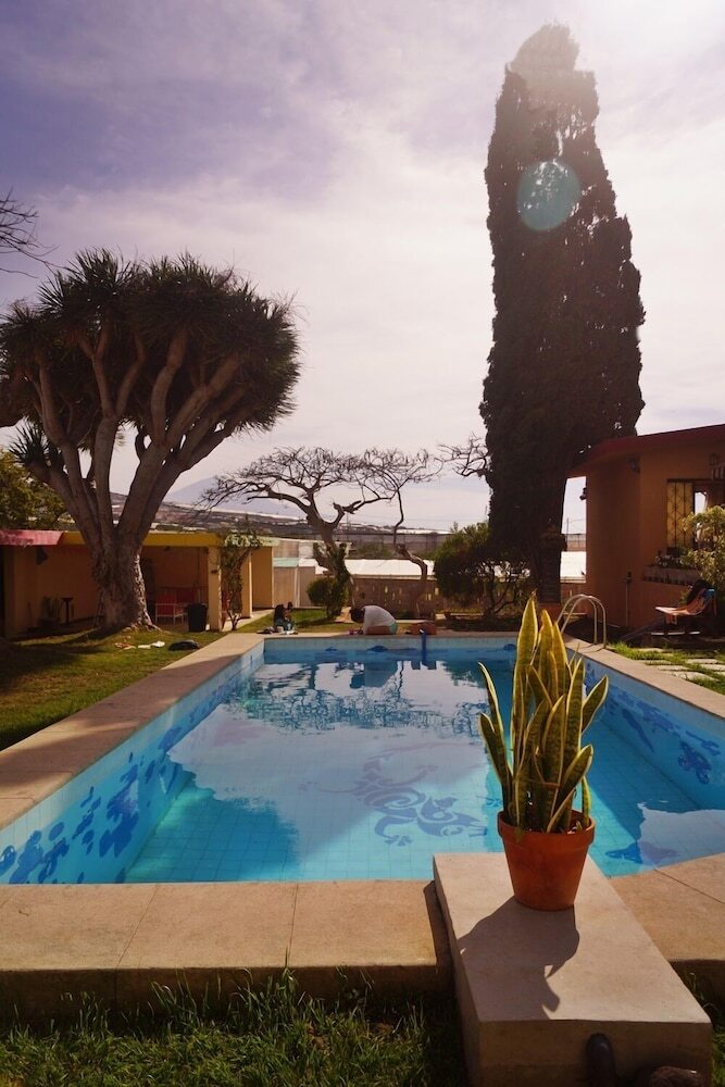 Hostal Lagarto Backpackers Hostel