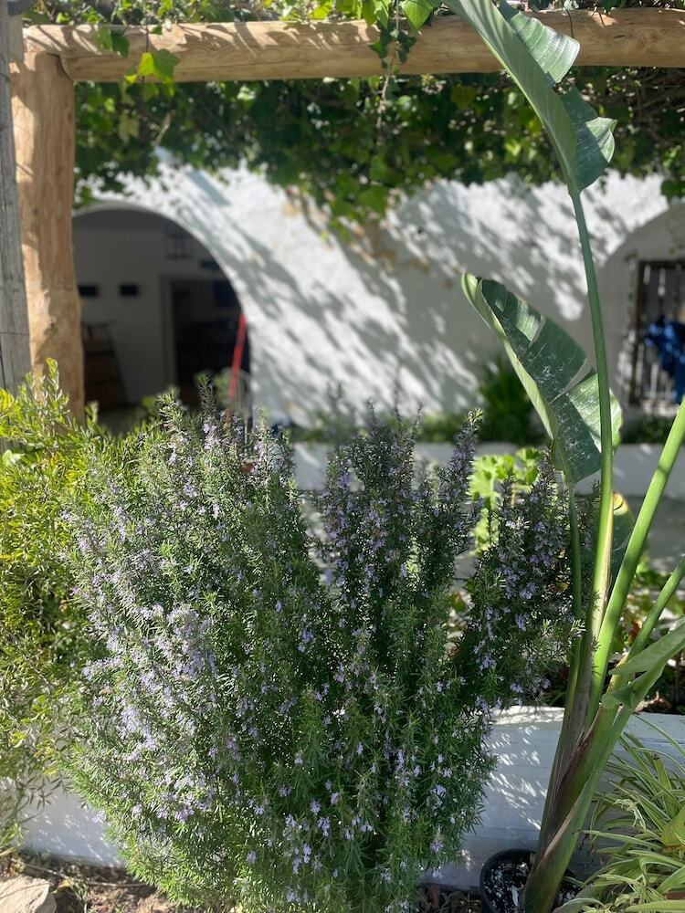 Bed & Breakfast La Posada De Trafalgar