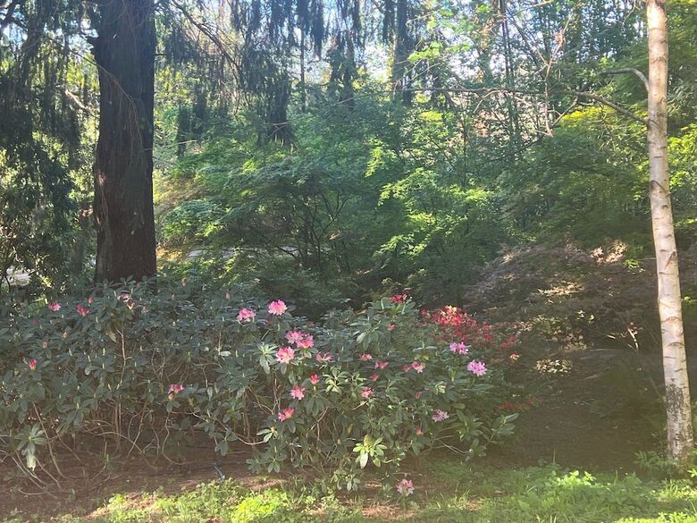 Finca La Pe�iga