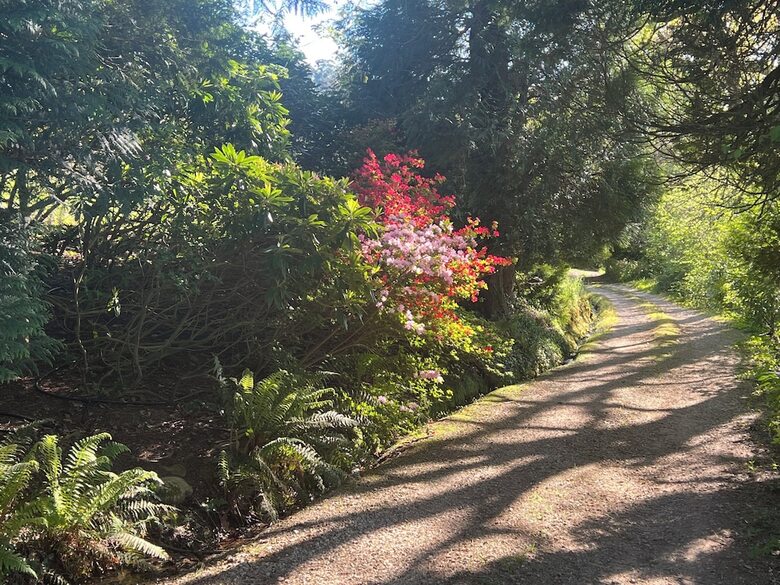 Finca La Pe�iga