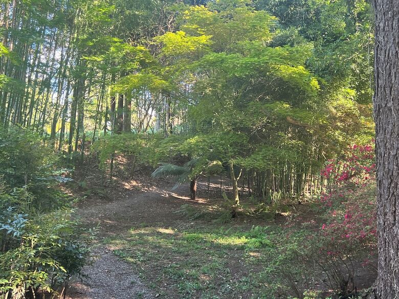 Finca La Pe�iga