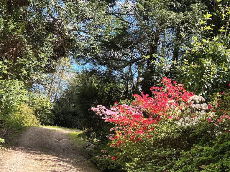 Finca La Pe�iga