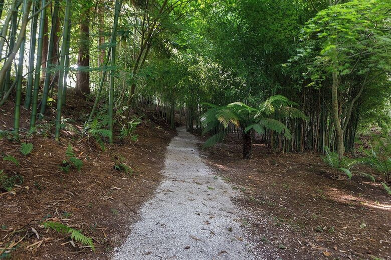 Finca La Pe�iga