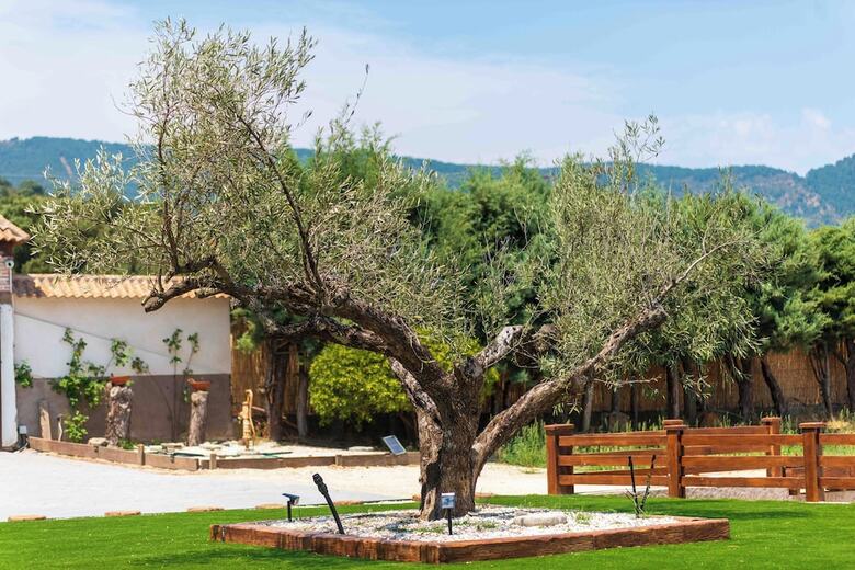 Hotel Finca Avellaneda
