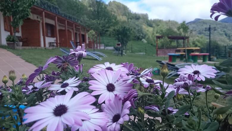 Aparthotel Apartamentos Rurales Balc�n Real