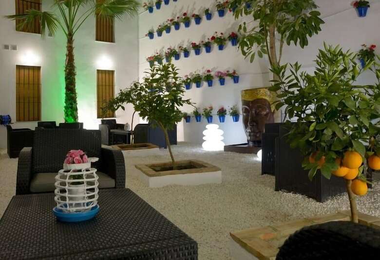 Apartamentos Casapatiolaspalmeras