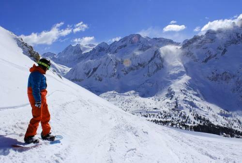 Camping & Chalet Presanella