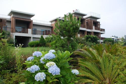 Hotel Jejueco Suites
