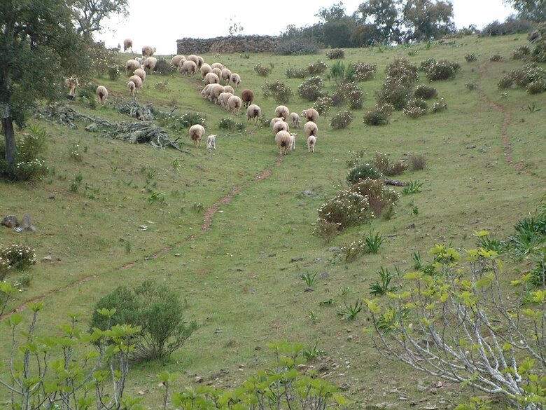 Monte Gois Country House E Spa