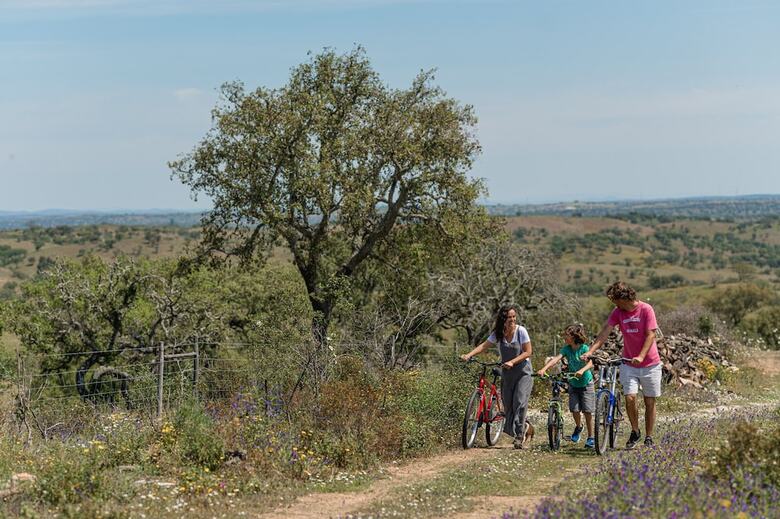 Monte Gois Country House E Spa