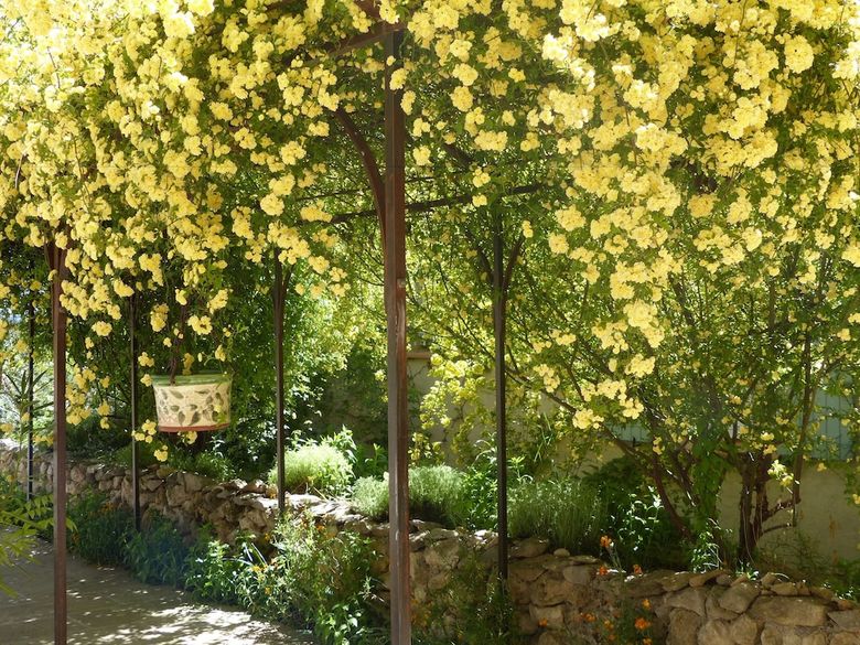 Bed & Breakfast La Ferme Du Petit Segries