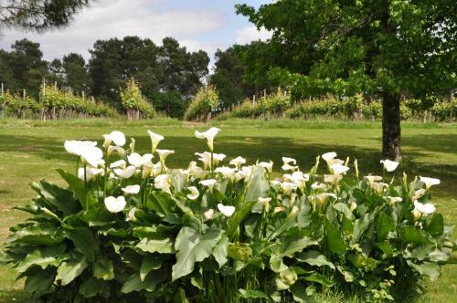 Bed & Breakfast Domaine De Paguy