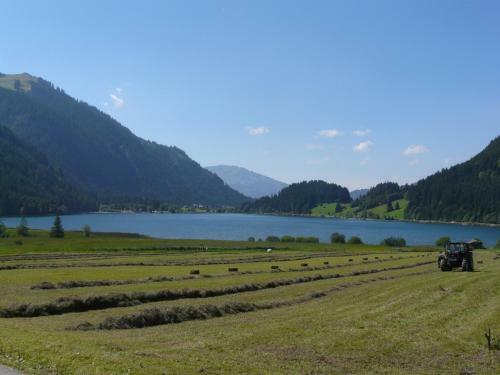 Apartamento Landhaus Schatz