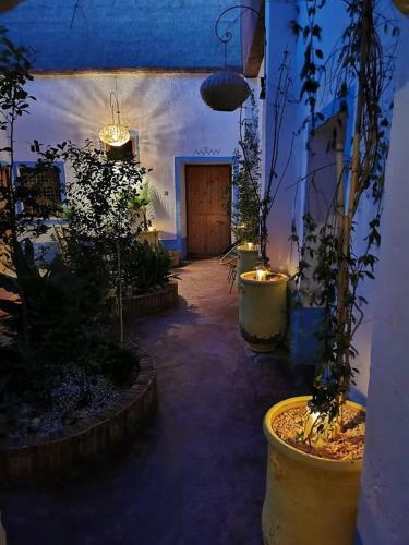 Posada Auberge Ayouze