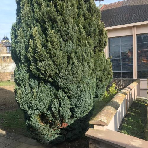 Apartamento Ferme Typique Alsacienne