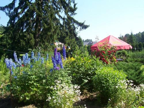 Agroturismo Gosciniec Nad Stawem
