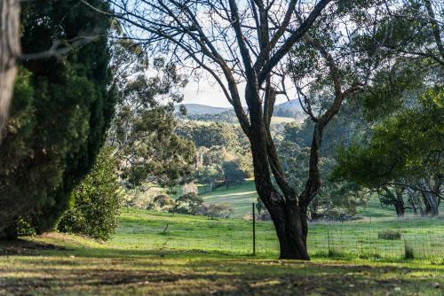 Bed & Breakfast Adelaide Hills Country Cottages