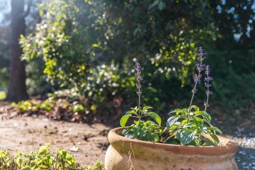 Bed & Breakfast Adelaide Hills Country Cottages