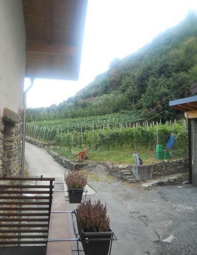 Hostal La Vita In Campagna