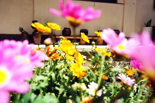 Hostal Shaxi Miss May Hotel