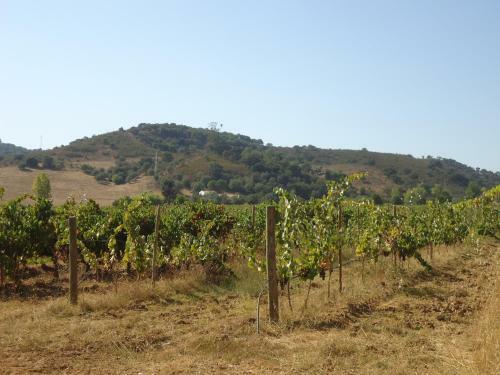 Agroturismo Herdade Dos Montes Bastos