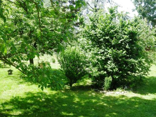 Bed & Breakfast Aux Berges De La Thur
