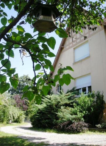 Bed & Breakfast Aux Berges De La Thur