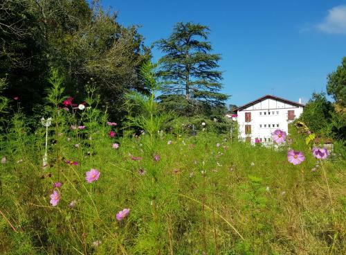 Hotel Pyren�es Atlantique