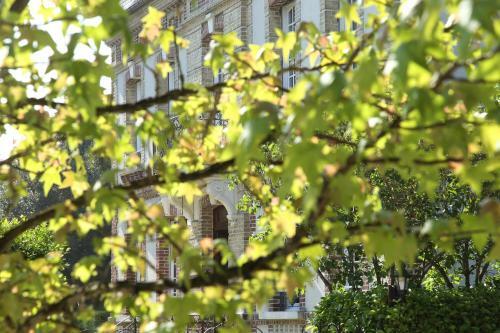 Bed & Breakfast Manoir Le Mesnil