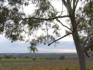 Bed & Breakfast Blickinstal Barossa Valley Retreat