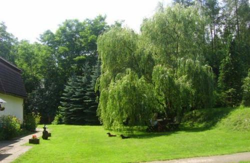 Gospodarstwo Agroturystyczne Le?nicz�wka