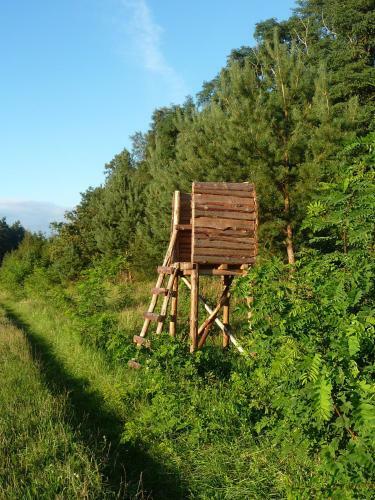 Gospodarstwo Agroturystyczne Le?nicz�wka