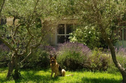 Apartamento Residence Le Saint Victor