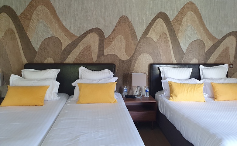 Hotel H�tel R�sidence De Rohan