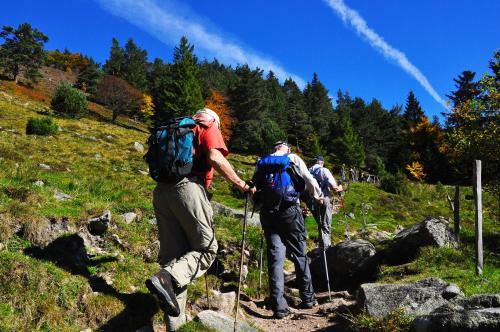 Hotel H�tel Aux Bruy�res