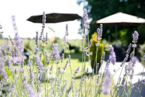 Nature &amp; Chateaux