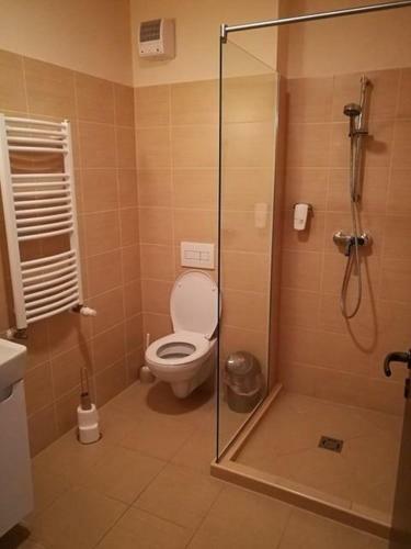 Hotel Brill Orosh�za
